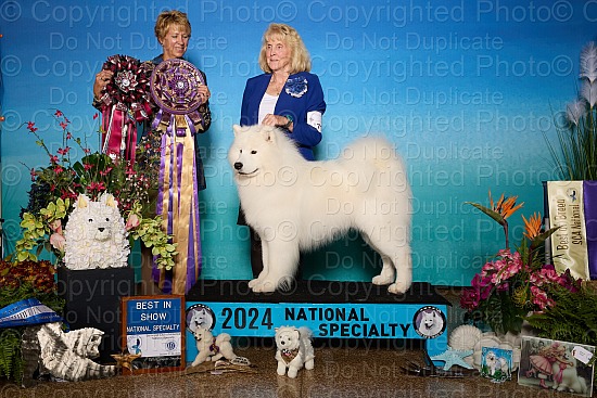 Win Photos 10/26/24