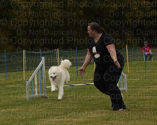 Agility Camera 2