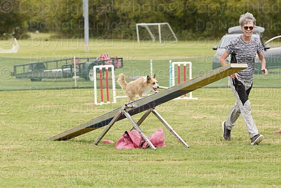 Agility Camera 1